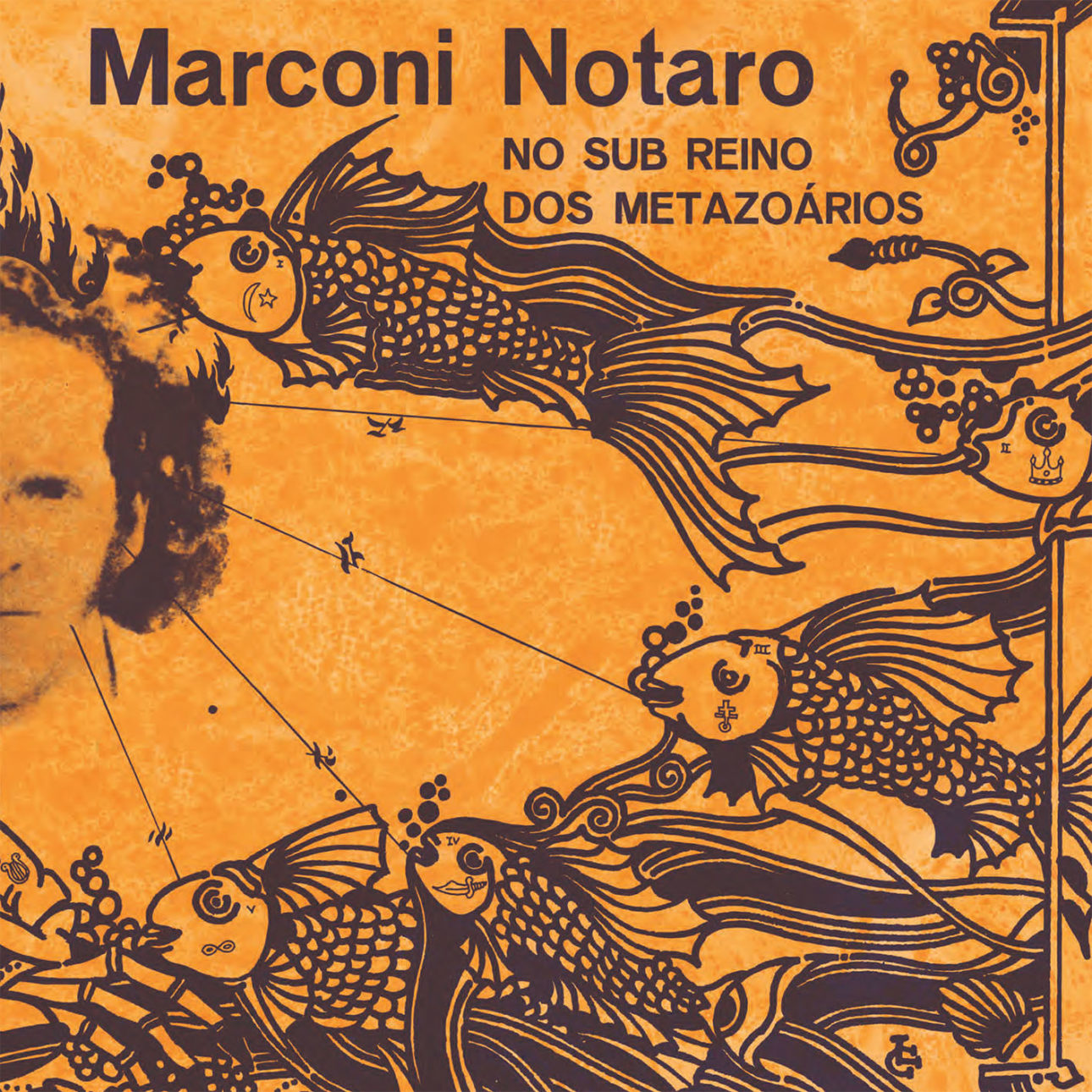 Marconi Notaro