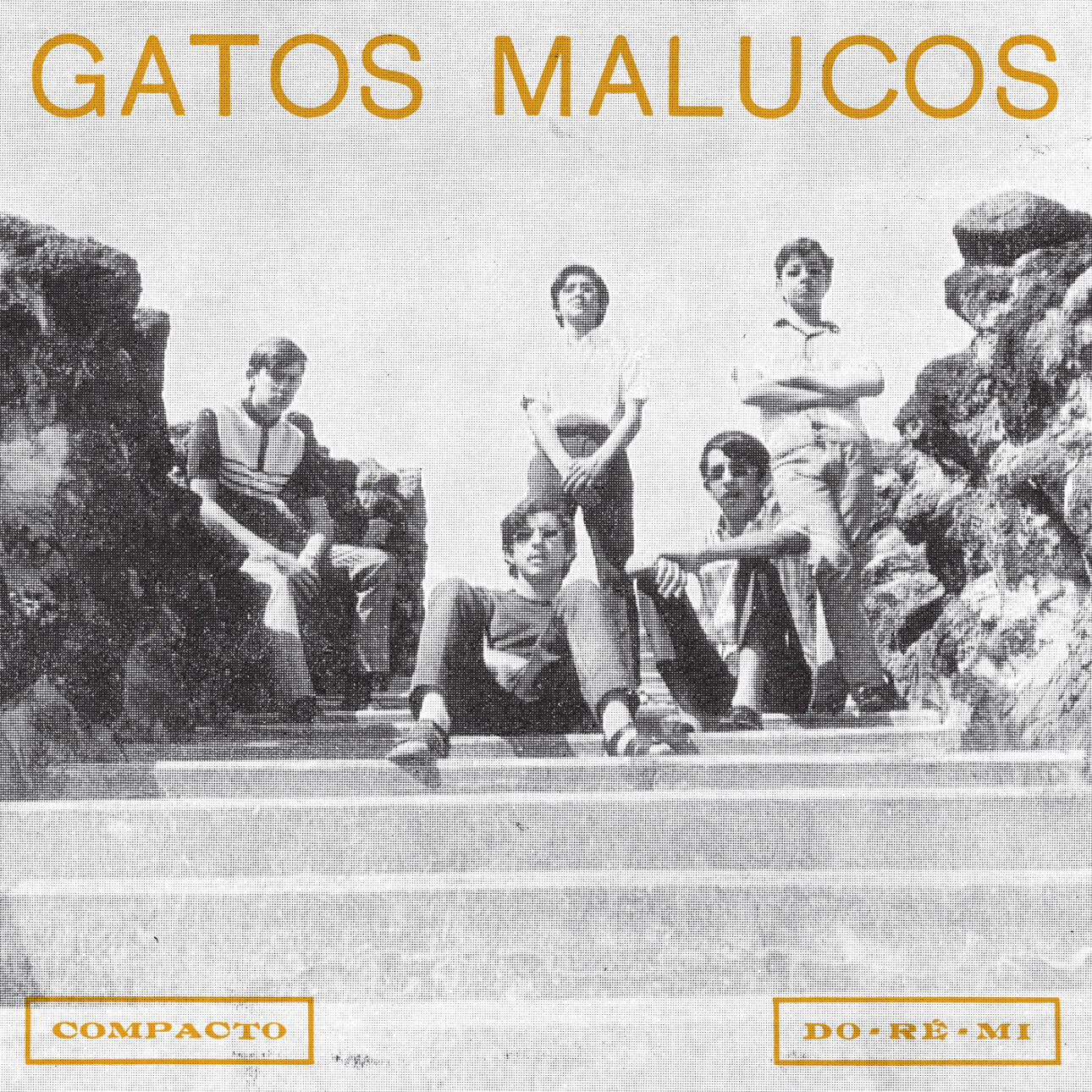 Gatos Malucos