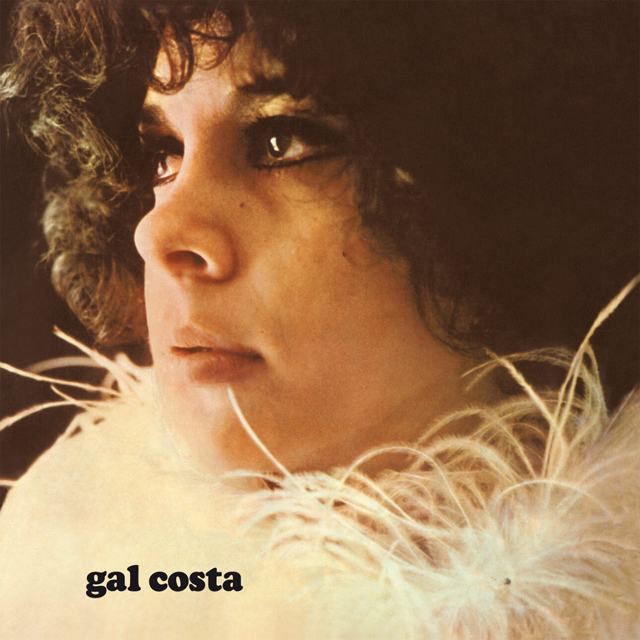 GAL COSTA – Munster Records shop